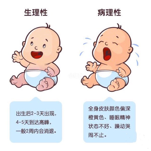 黄疸比较.jpg