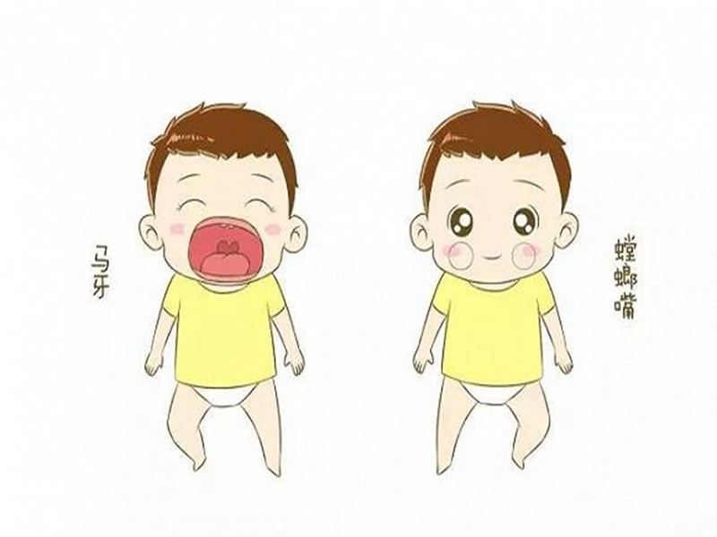 马牙、螳螂嘴.jpg