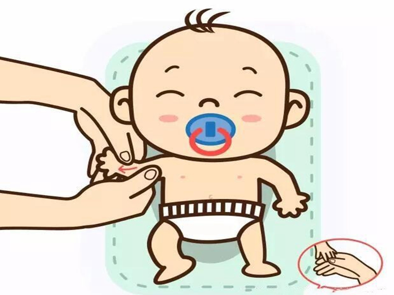 上肢.jpg