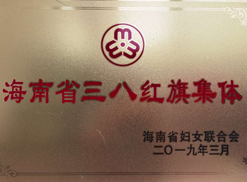海南省三八红旗集体（2019年）_副本.png