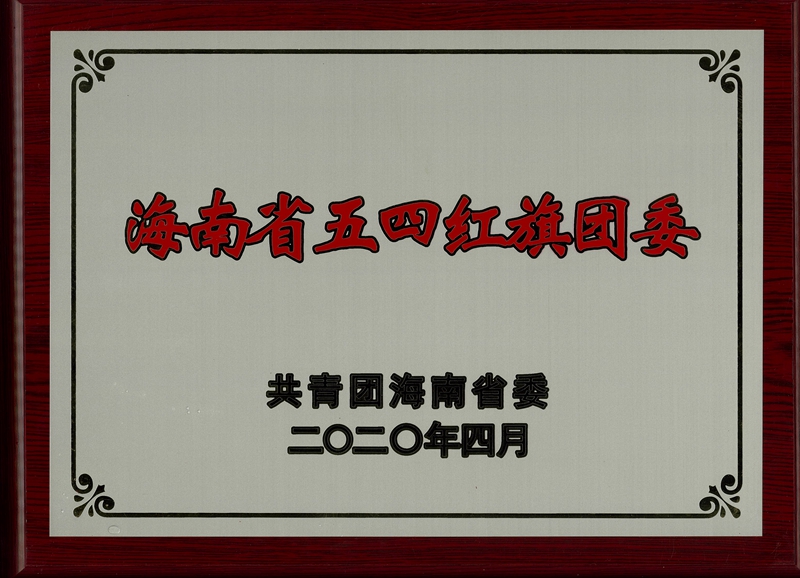 202004海南省五四红旗团委.jpg